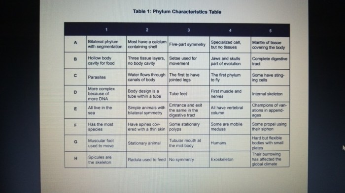 Table 2 phylum taxonomic key