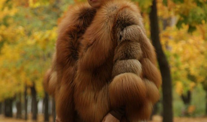 The red fox fur coat short story answer key