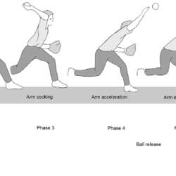 Baseball and softball skills progression