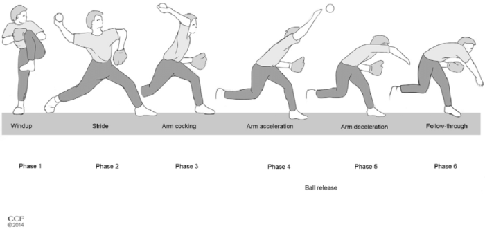 Baseball and softball skills progression