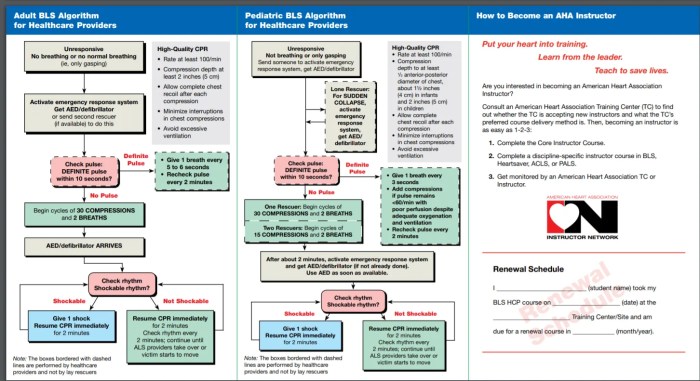 Red cross cpr test answer key