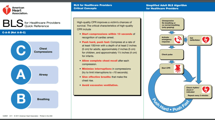 Red cross cpr test answer key