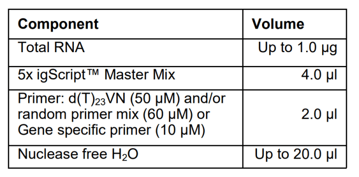 Iscript cdna synthesis kit protocol