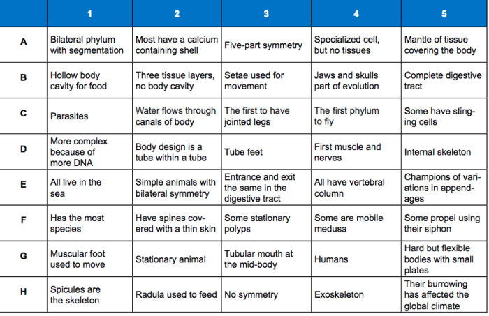 Table 2 phylum taxonomic key