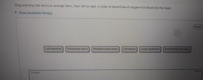 Drag and drop to arrange the port types in order