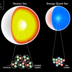 Neutron quark esa